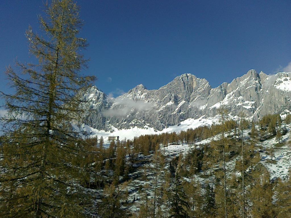 Gloesalm Daire Ramsau am Dachstein Oda fotoğraf