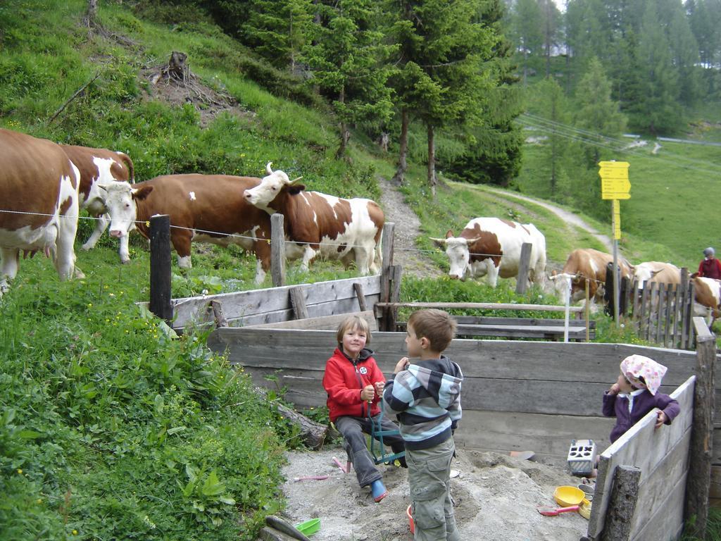Gloesalm Daire Ramsau am Dachstein Oda fotoğraf