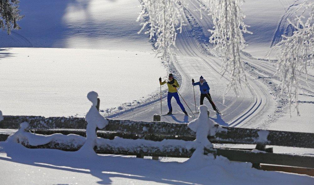 Gloesalm Daire Ramsau am Dachstein Dış mekan fotoğraf