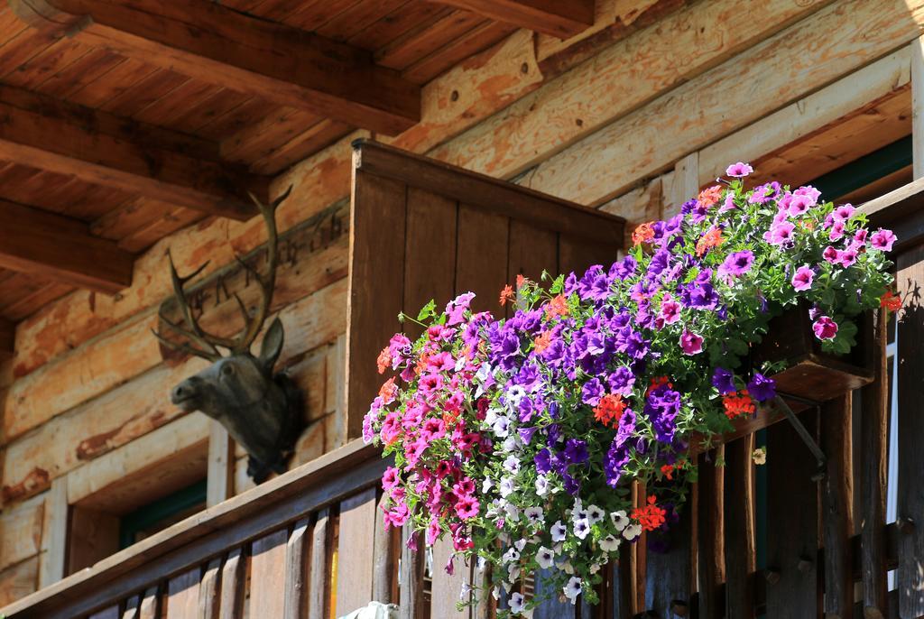 Gloesalm Daire Ramsau am Dachstein Dış mekan fotoğraf