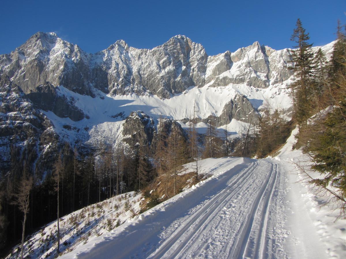 Gloesalm Daire Ramsau am Dachstein Dış mekan fotoğraf